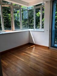 Cairnhill Crest (D9), Condominium #568250681